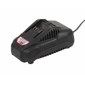 RAIDER R20 ΦΟΡΤΙΣΤΗΣ RDP-R20 039703 για ΜΗΧΑΝΗΜΑΤΑ