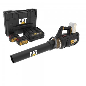 CAT COMBO-14 ΦΥΣΗΤΗΡΑΣ DG250B + ΔΩΡΟ ΚΑΣΕΤΙΝΑ + -35% 2 ΜΠΑΤΑΡΙΕΣ 4.0Ah ΜΕ ΔΙΠΛΟ ΦΟΡΤΙΣΤΗ DXK900 για ΜΗΧΑΝΗΜΑΤΑ