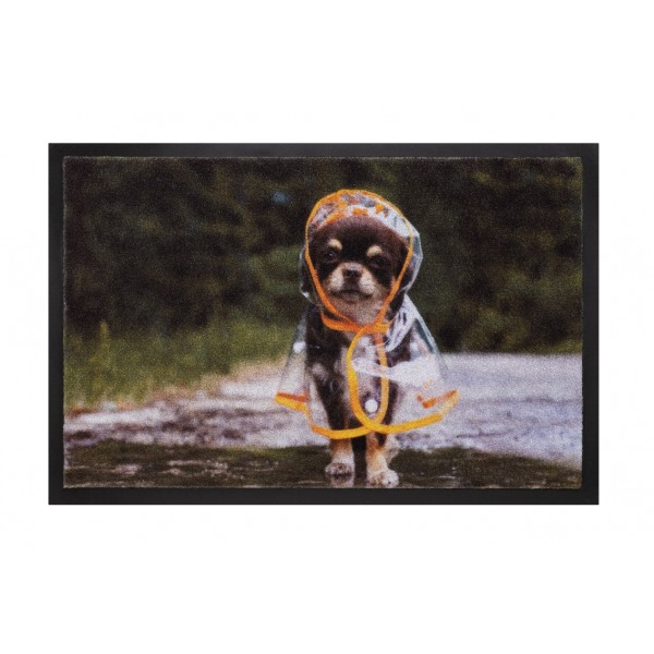 HAMAT Χαλί εισόδου Raincoat dog 40x60cm, χαλί εξωτερικού χώρου