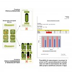 Συμπιεσόμετρο βενζίνης, πετρελαίου & μετρητής τάσης μπαταρίας FG 215 FASANO Tools Κινητήρας